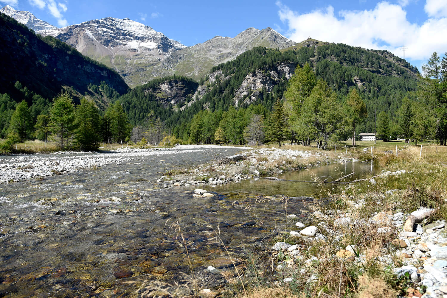 Ripristino ambientale del pianoro di Cavaglia