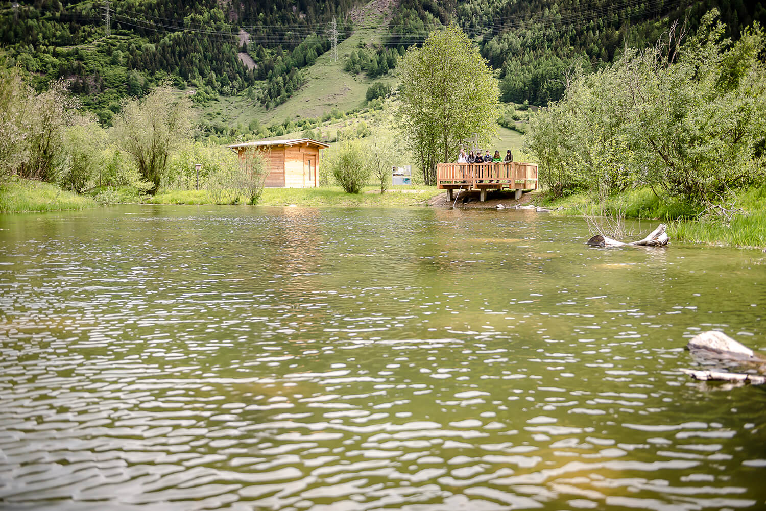 Jugendliche blicken auf dem Aquasela-Pfad auf einen Teich.